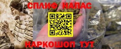 крисы Краснодар