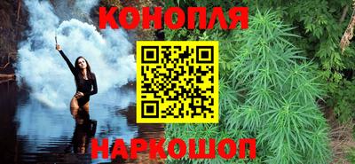 крисы Краснодар