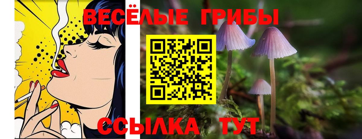 Галлюциногенные грибы Magic Shrooms  Вход с VPN  Гусь-Хрустальный 
