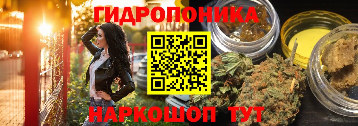МАРИХУАНА семена  Бошки Шишки планчик  Вход с VPN  Марихуана конопля  Гусь-Хрустальный  Канабис OG Kush 